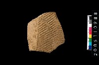 藏品(繩紋折肩)的圖片