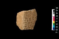 藏品(繩紋折肩)的圖片