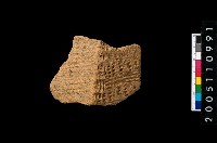 藏品(繩紋折肩)的圖片