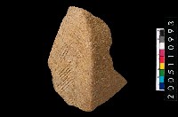 藏品(繩紋折肩)的圖片