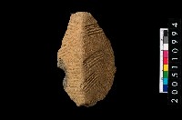 藏品(繩紋折肩)的圖片