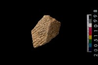 藏品(繩紋折肩)的圖片