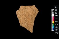 藏品(帶紋腹片)的圖片