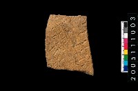 藏品(帶紋腹片)的圖片