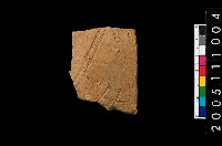 藏品(帶紋腹片)的圖片