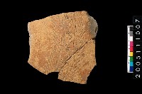 藏品(帶紋腹片)的圖片