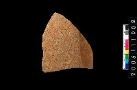 藏品(帶紋腹片)的圖片