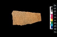 藏品(帶紋腹片)的圖片