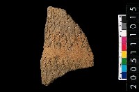 藏品(帶紋腹片)的圖片