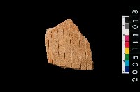 藏品(帶紋腹片)的圖片