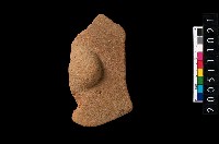 藏品(帶紋腹片)的圖片