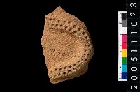 藏品(帶紋腹片)的圖片