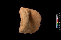 藏品(橫把)的圖片