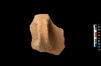 藏品(橫把)的圖片