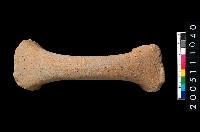 藏品(橫把)的圖片