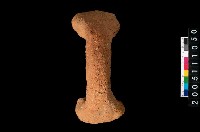 藏品(橫把)的圖片