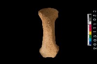 藏品(橫把)的圖片