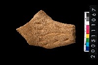 藏品(帶紋豎把)的圖片