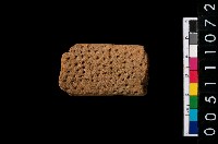 藏品(帶紋陶把)的圖片