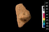 藏品(鈕把)的圖片