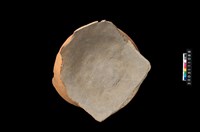 藏品(罐底)的圖片