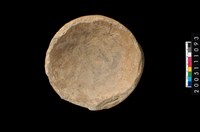 藏品(罐底)的圖片