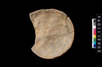 藏品(罐底)的圖片