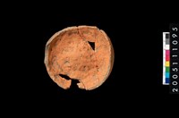 藏品(罐底)的圖片