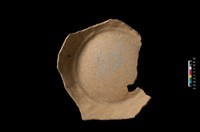 藏品(罐底與圈足)的圖片