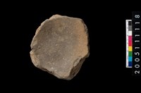 藏品(陶豆)的圖片