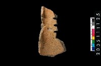 藏品(圈足)的圖片