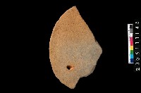 藏品(盤形蓋)的圖片