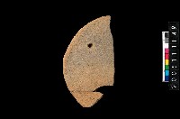 藏品(盤形蓋)的圖片