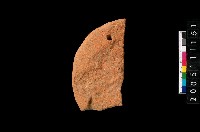 藏品(盤形蓋)的圖片