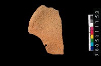 藏品(盤形蓋)的圖片