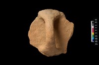 藏品(盆形蓋)的圖片