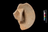 藏品(盆形蓋)的圖片