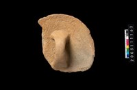 藏品(盆形蓋)的圖片