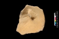 藏品(盆形蓋)的圖片