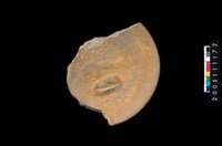 藏品(盆形蓋)的圖片