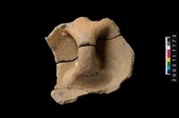 藏品(盆形蓋)的圖片