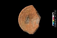 藏品(盆形蓋)的圖片