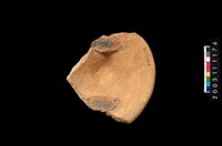 藏品(盆形蓋)的圖片