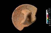 藏品(盆形蓋)的圖片