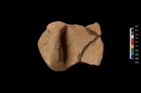 藏品(盆形蓋)的圖片