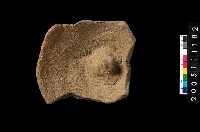 藏品(盆形蓋)的圖片