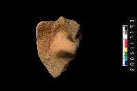 藏品(盆形蓋)的圖片