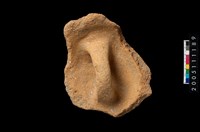 藏品(盆形蓋)的圖片