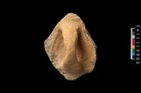 藏品(盆形蓋)的圖片