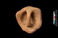 藏品(盆形蓋)的圖片